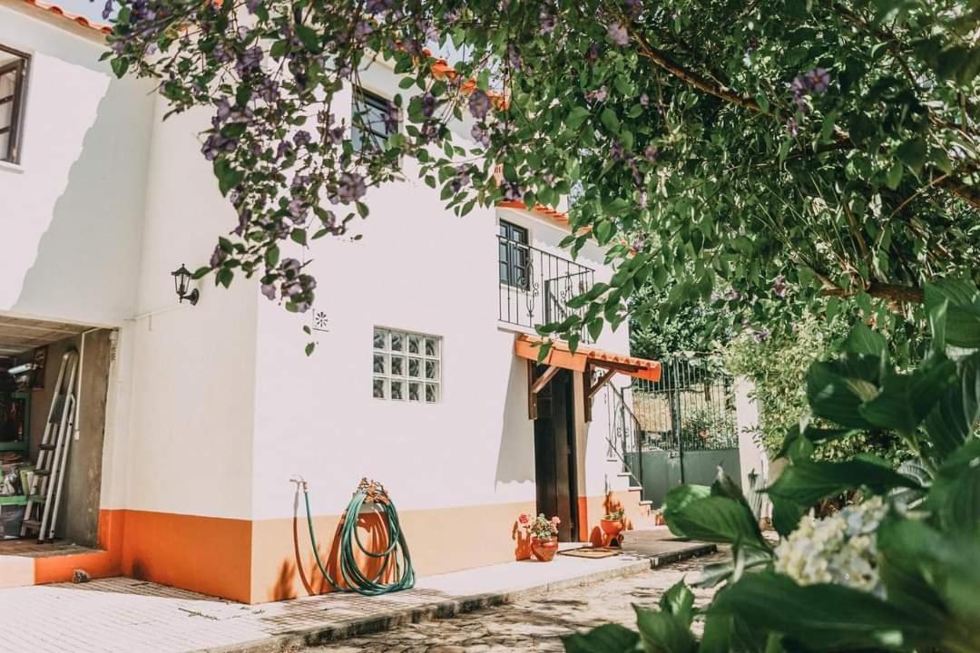 Вилла Casa Da Milharica Фигейро-душ-Виньюш Экстерьер фото